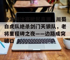 九游体育- 顺利进入冠军争夺战 