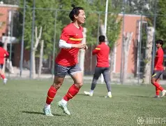  三三制步兵战术图解 