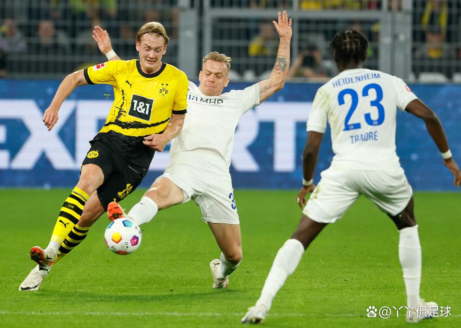 多特蒙德训练开放日，集结日完成体检引欢呼，法国杯在即，团队化学反应显著(多特蒙德vs巴黎圣日耳曼ai预测)