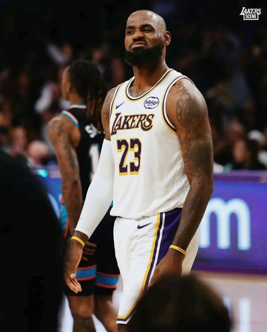 包含詹姆斯迎来十二赛季高光表现，G2球迷沸腾！的词条